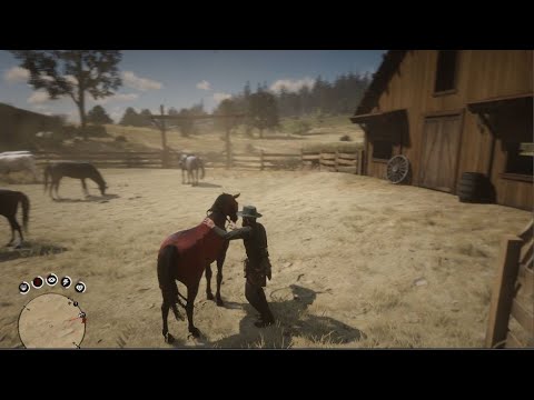 John Takes Rarest Horse to his Ranch. Rdr2
