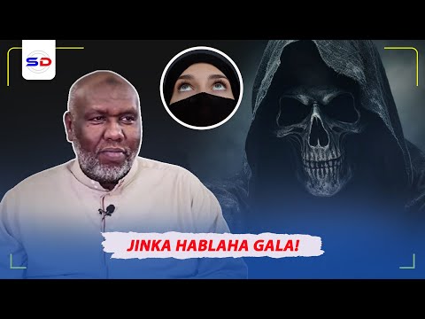 Sababta Jinku u Galo Gabdhaha aan La Guursan Iyo Arimo Kale oo Xasaasiya | Sh Cabdiraxmaan Bashiir