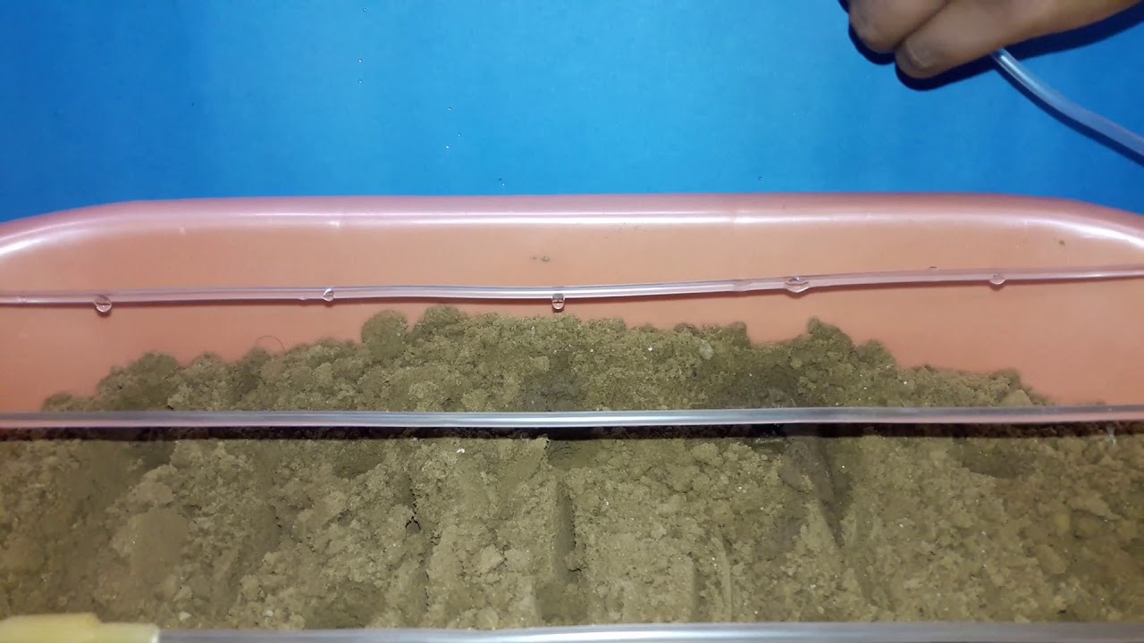 Drip irrigation science project