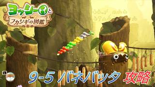 【ヨッシーとフカシギの図鑑】9-5 バネバッタを拡大する 調査、フラワーコンプリート【攻略/switch2】
