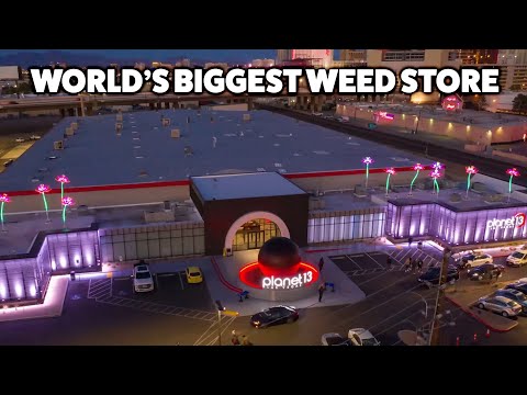 The World's BIGGEST WEED STORE