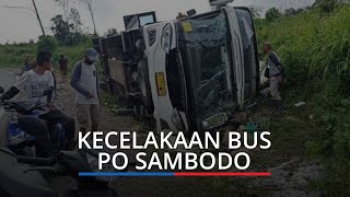 Warga Asal Sumbar Tewas dalam Kecelakaan Bus PO Sambodo di Sumatera Selatan