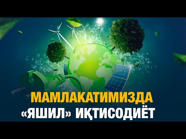 Мамлакатимизда «яшил» иқтисодиёт