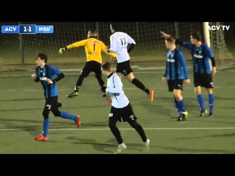 Samenvatting ACV-Nieuw Buinen