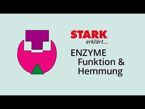 Enzyme function and enzyme inhibition | STARK explains