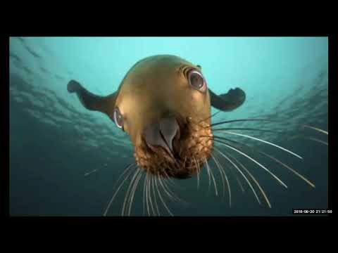 2018 06 20 PM Public Teaching in Spanish - Enseñanzas públicas en Español