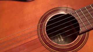 Video thumbnail for Yamaha G-50a by Michael Pekar