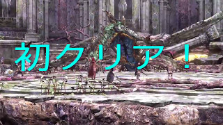 ［DDON］新GM  呼び覚まされし竜　クラメンと初クリア！　ウォリアー視点