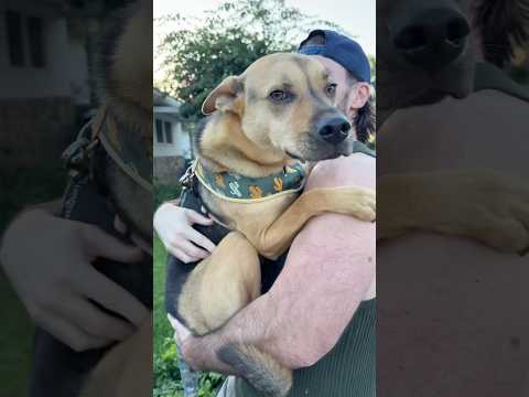 Ambushed by a scary orange cat!