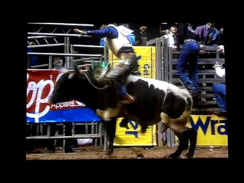 Skat Kat , BRO bull riding