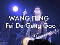 WANG FENG - Fei De Geng Gao 