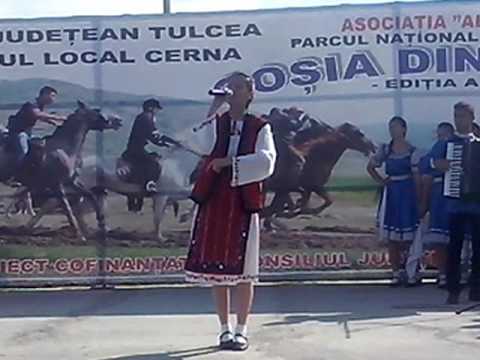 Cosia la Cerna in Tulcea
