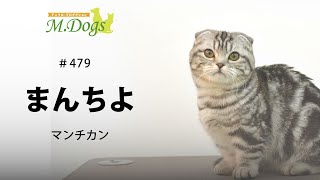 ペットモデル まんちよ