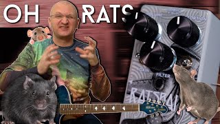 Video thumbnail for Smells like a Rat! Wampler Ratsbane Review by EytschPi42