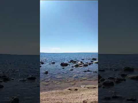 31 июля 2023 г.