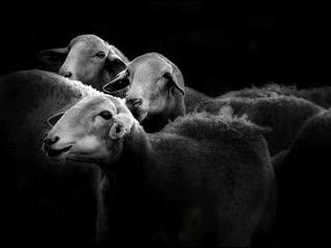 EXPOphotoBOHONAL2007