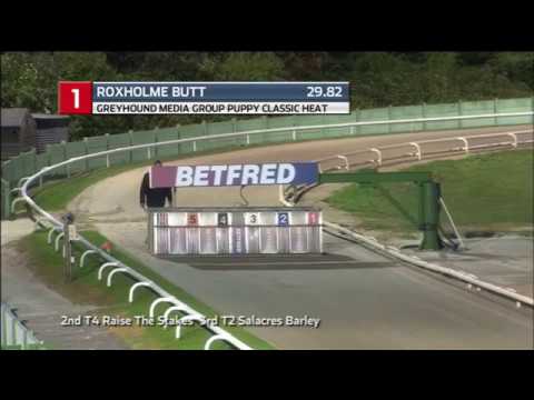 GMG PUPPY CLASSIC - HEAT 6 - T1 ROXHOLME BUTT