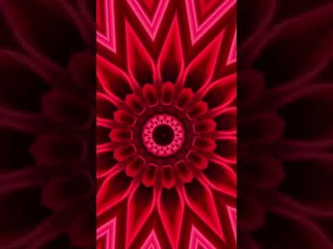 This Mandala Red Flower Is Totally Unusual and Stunning!