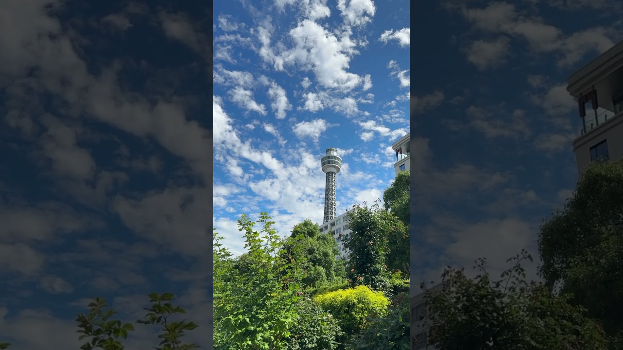 YouTube Short thumbnail