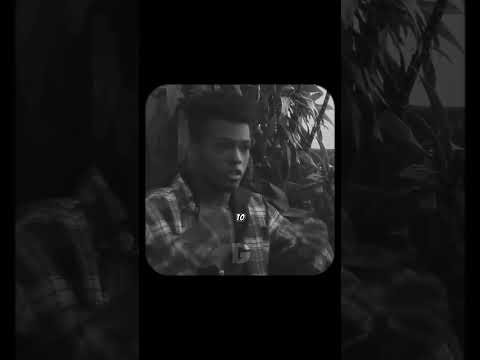 Everyone's Gonna Get Their Turn: The Power of Patience and Timing