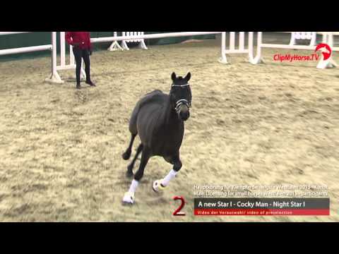 02 A new Star I - Cocky Man - Night-Star I