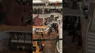 Penrose Atrium On The Norwegian Viva