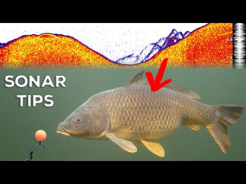 How to catch more fish with a sonar? (Deeper)