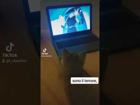 sono Ettore il terrore..iscrivetevi al canale..