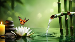 Peaceful Bamboo & Water Flow | Nature Sounds for Relaxation