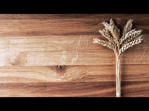 Willst du das ernten, was du gerade säst?