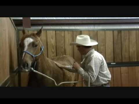 Richard Winters - RTTH Colt.wmv