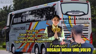 Download lagu BUS ROSALIA INDAH EXECUTIVE PLUS UHD Kata Kata PRAMUGARI CANTIK BUS ROSALIA INDAH Bersama DRIVER mp3