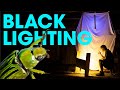 Bugs Black Lights Attracting Insects At Night