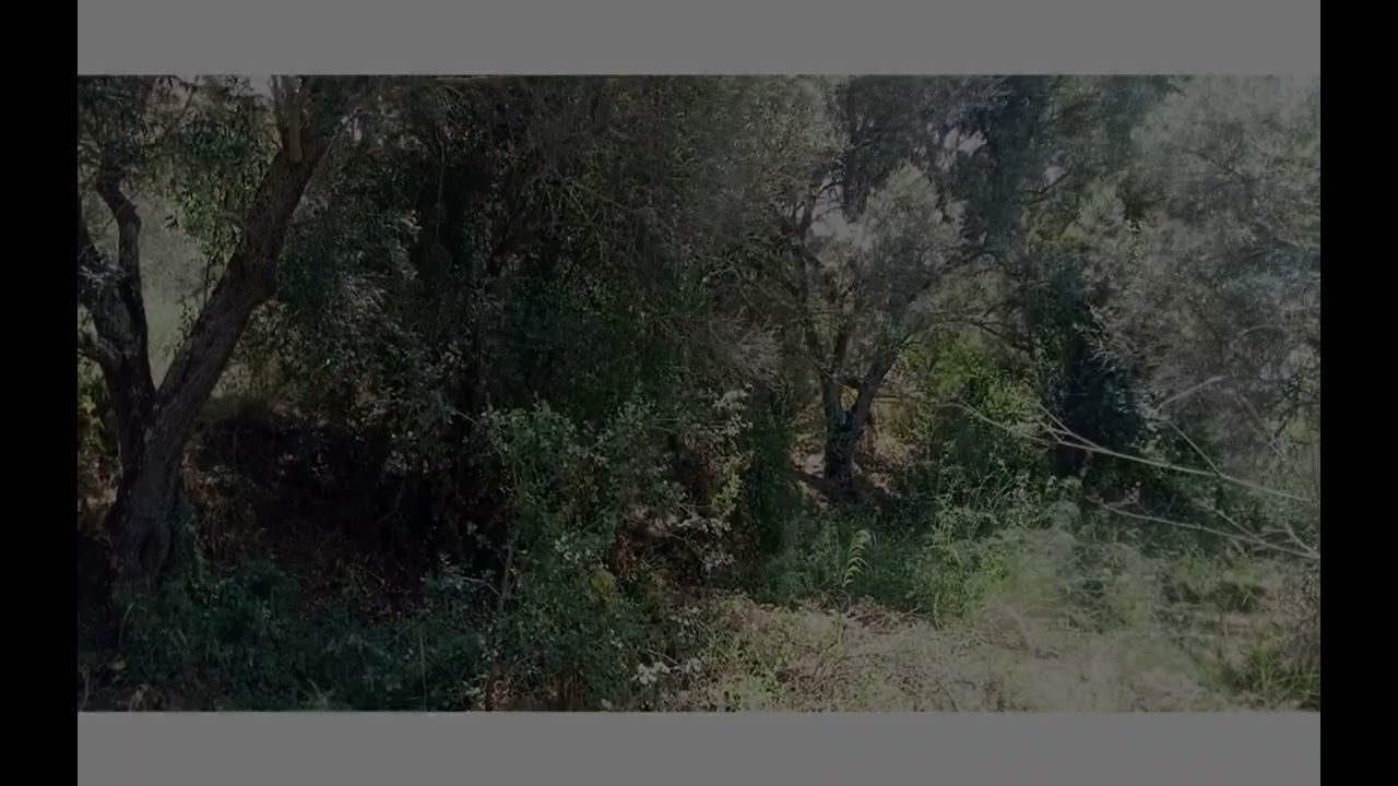 Vídeo do imóvel