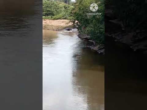 Rio Tapiracuí em TAPIRA-PR ❤️ Inscreva-se no nosso canal