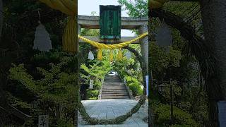 茅の輪くぐり〜多井畑厄除八幡宮〜神戸市須磨区