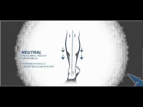 Watch lagu Images Videos Transformers Actress 2007 Crossword, Watch Images Transformers Actress 2007 Crossword free Watchn, video klip Transformers Actress 2007 Crossword