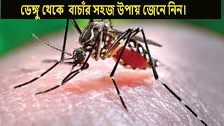 ডেঙ্গু থেকে বাঁচার সহজ কয়েকটি উপায় জেনে নিন