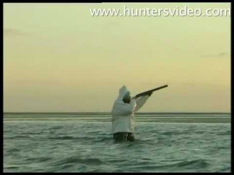 Niederwildjagd - Hunters Video