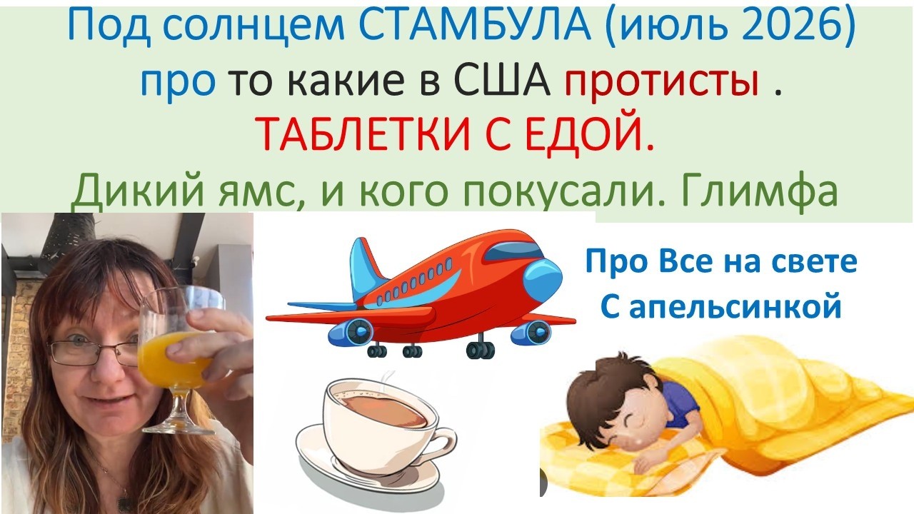 Утренний Стамбул и кокцидиоз в Нью Йорке