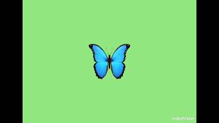 Kehlani - Butterfly (Official Audio)