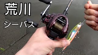 荒川　シーバス調査　2024年7月14日　サイレントアサシン