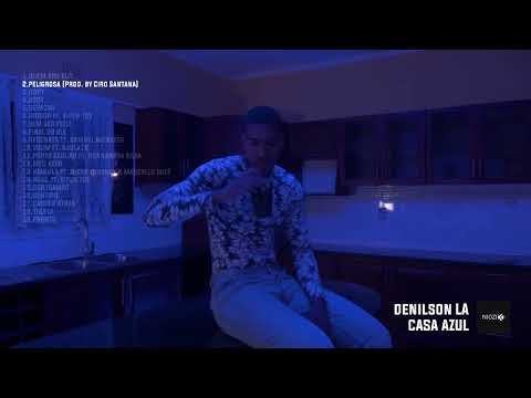 02. Denilson L.A - Peligrosa (visualizer)