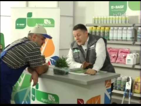 BASF apoteka zastita psenice