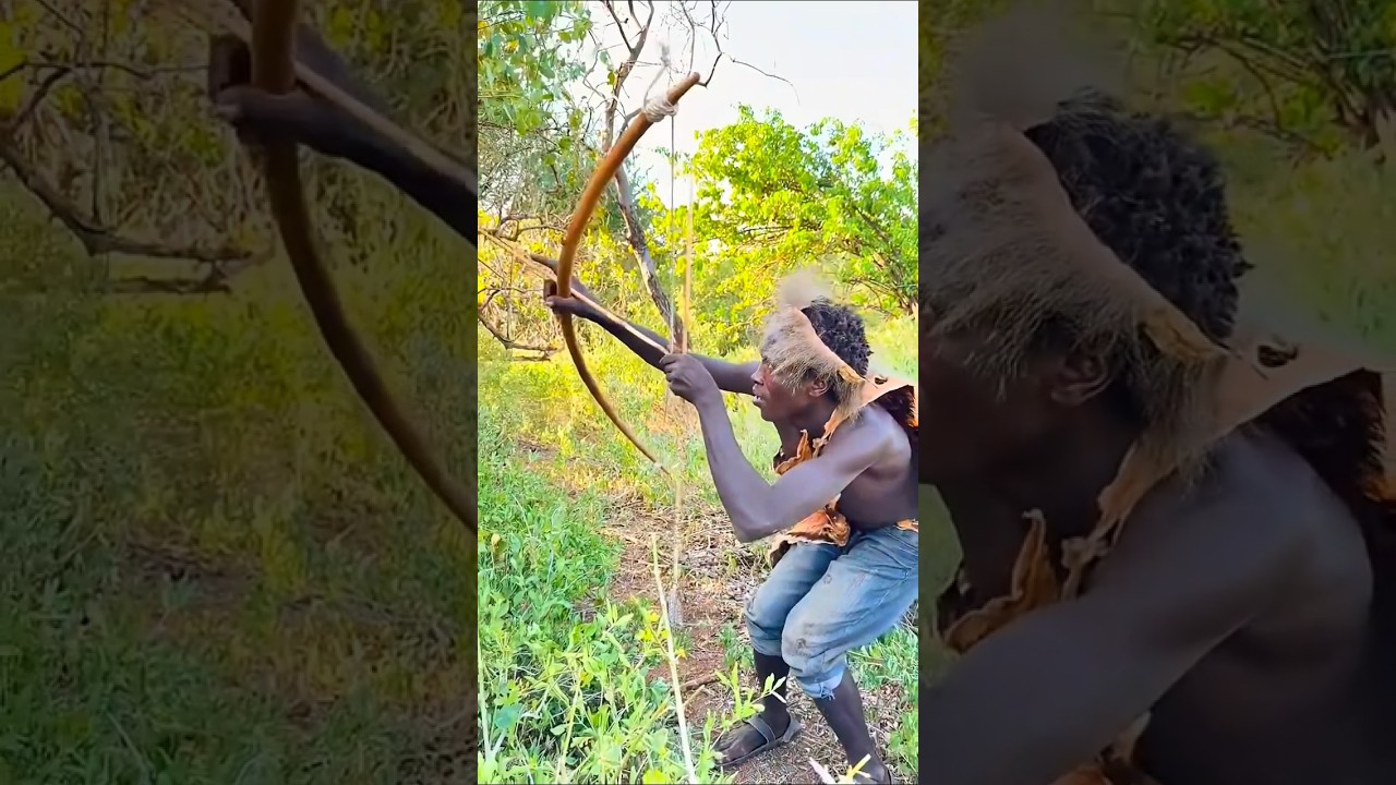 #wildlife #animals #comedy #funny #youtubeshorts #triballife