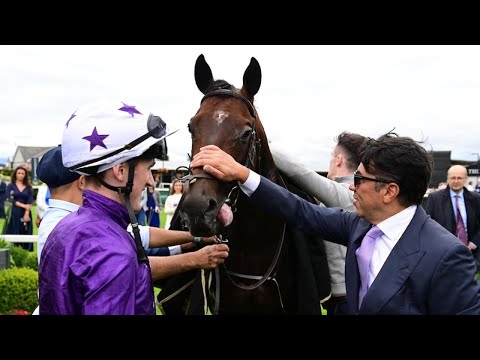 Breeders' Cup the big aim for ARIZONA BLAZE | Racing TV