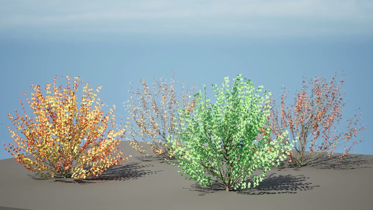 Hamamelis vernalis a 3D Masterpiece for All Seasons 3D Model