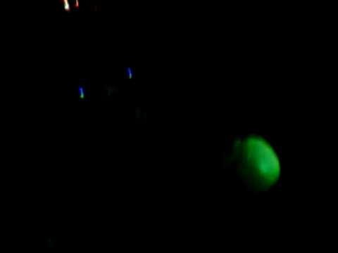 westbam 10.01.2009 joue joue erfurt part 06