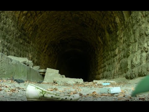 Slike života  Umka ili Humka najava Слике живота Умка или Хумка