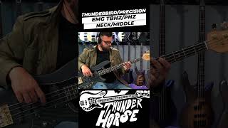 Video thumbnail for This Bass Can Do EVERYTHING! #bass #bassguitar #bassplayer #electricbass #precisionbass by The Bass Channel